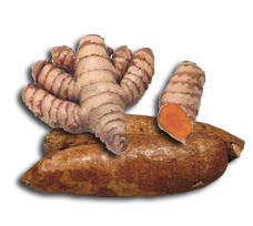 Cotton Linen Slim Cut Jean